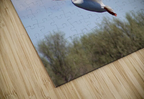 Pelicans Leslie Affeldt Photography puzzle