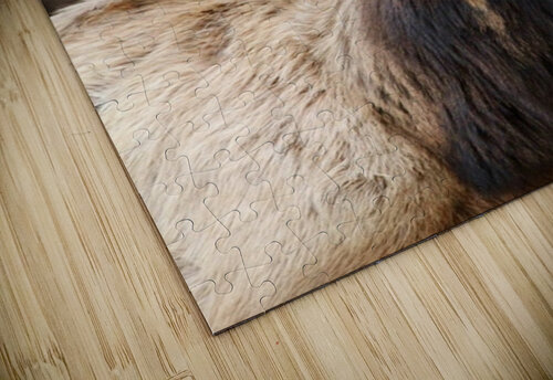 Elk Season Leslie Affeldt Photography puzzle