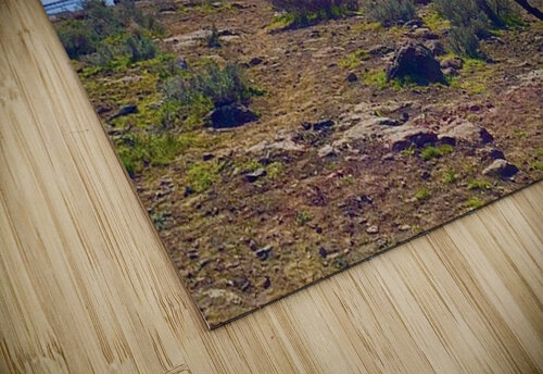 Wild Horses Monument Leslie Affeldt Photography puzzle