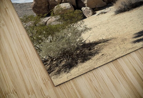 Joshua Tree -1 Leslie Affeldt Photography puzzle