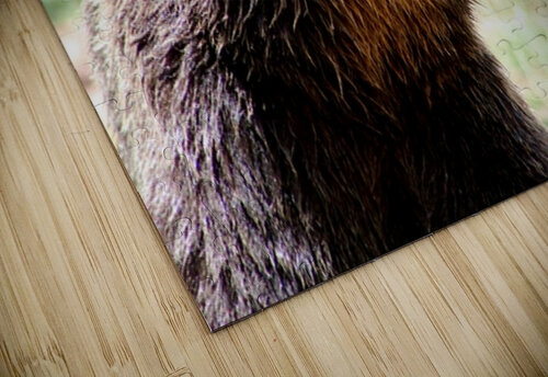 Brown Bear -2 Leslie Affeldt Photography puzzle