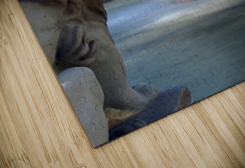 Fountain at English Village Leslie Affeldt Photography puzzle