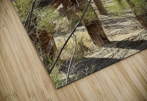 Under the Trestle Leslie Affeldt Photography puzzle