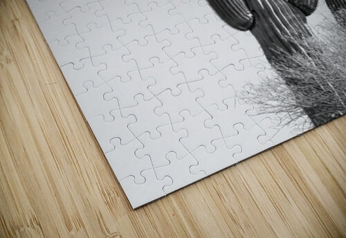 Saguaro Dream in black and white -1 Leslie Affeldt Photography puzzle