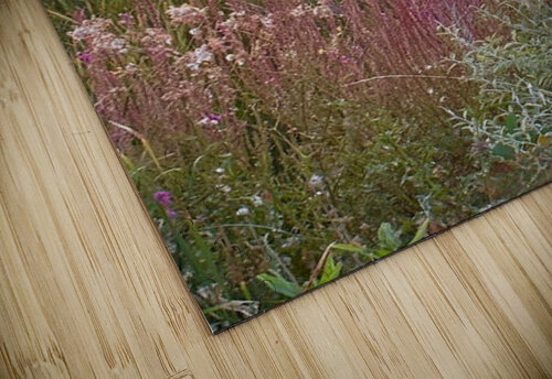 Sunset on Silica Road Leslie Affeldt Photography puzzle