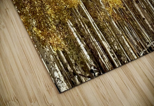 IMG 9899 Leslie Affeldt Photography puzzle