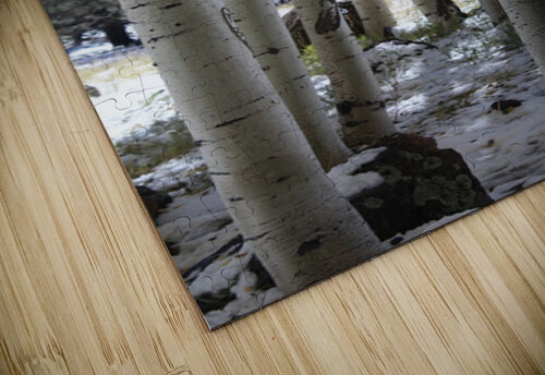 Aspens in Flagstaff Leslie Affeldt Photography puzzle