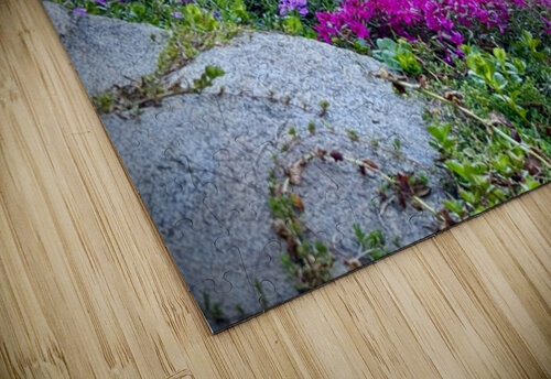Spring flowers in Ohme Gardens Leslie Affeldt Photography puzzle