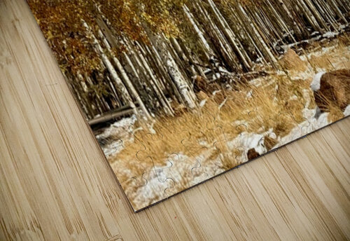 IMG 9899 Leslie Affeldt Photography puzzle