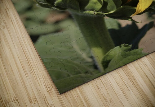 This is my best side Leslie Affeldt Photography puzzle