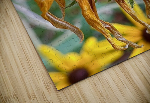 Time Served Leslie Affeldt Photography puzzle