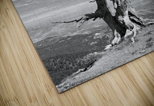 Wenatchee Overlook - black and white Leslie Affeldt Photography puzzle