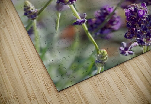 Lavender  Leslie Affeldt Photography puzzle
