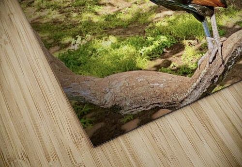 Maui Rooster Leslie Affeldt Photography puzzle