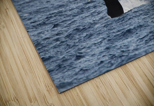 IMG 3364 Leslie Affeldt Photography puzzle