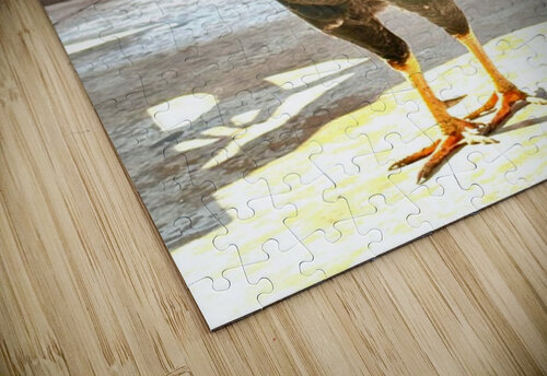 IMG 1103 Copy Leslie Affeldt Photography puzzle