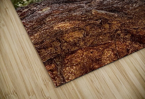 Albert’s Squirrel -2 Leslie Affeldt Photography puzzle