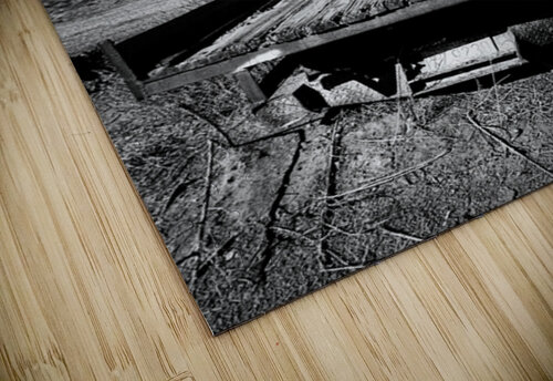 411087A6 03AC 472D AE87 55E0490A2BD9 Leslie Affeldt Photography puzzle