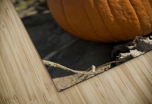 Fall Vibes Leslie Affeldt Photography puzzle