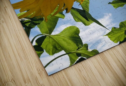 Sunflower Love Leslie Affeldt Photography puzzle