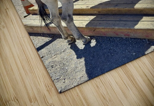 What’s on sale   Leslie Affeldt Photography puzzle