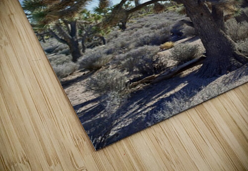 Joshua Tree w sunlight Leslie Affeldt Photography puzzle