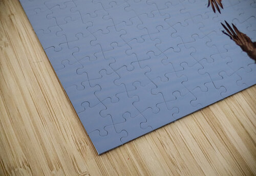 Touching the liquid sky Leslie Affeldt Photography puzzle