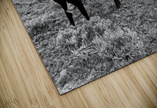 Outstanding in her field Leslie Affeldt Photography puzzle