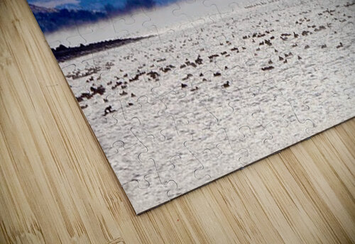 Beauty in the bitter cold - Columbia River 2 Leslie Affeldt Photography puzzle