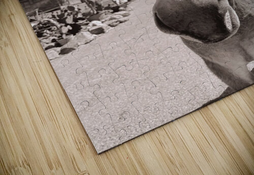 Oatman Donkey - Sepia tone Leslie Affeldt Photography puzzle
