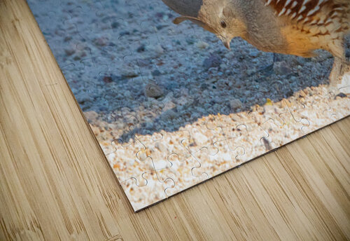 Quail Couple Leslie Affeldt Photography puzzle