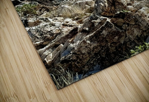 Quartz & Ocotillo    Leslie Affeldt Photography puzzle