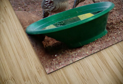 Ye Old Watering Hole Leslie Affeldt Photography puzzle