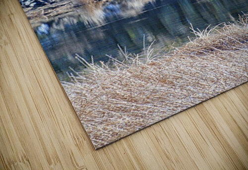 Basalt Reflection Leslie Affeldt Photography puzzle
