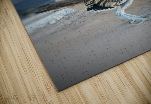 Meep Meep  Leslie Affeldt Photography puzzle