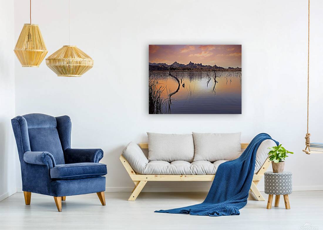 Catfish Paradise  Reproduction