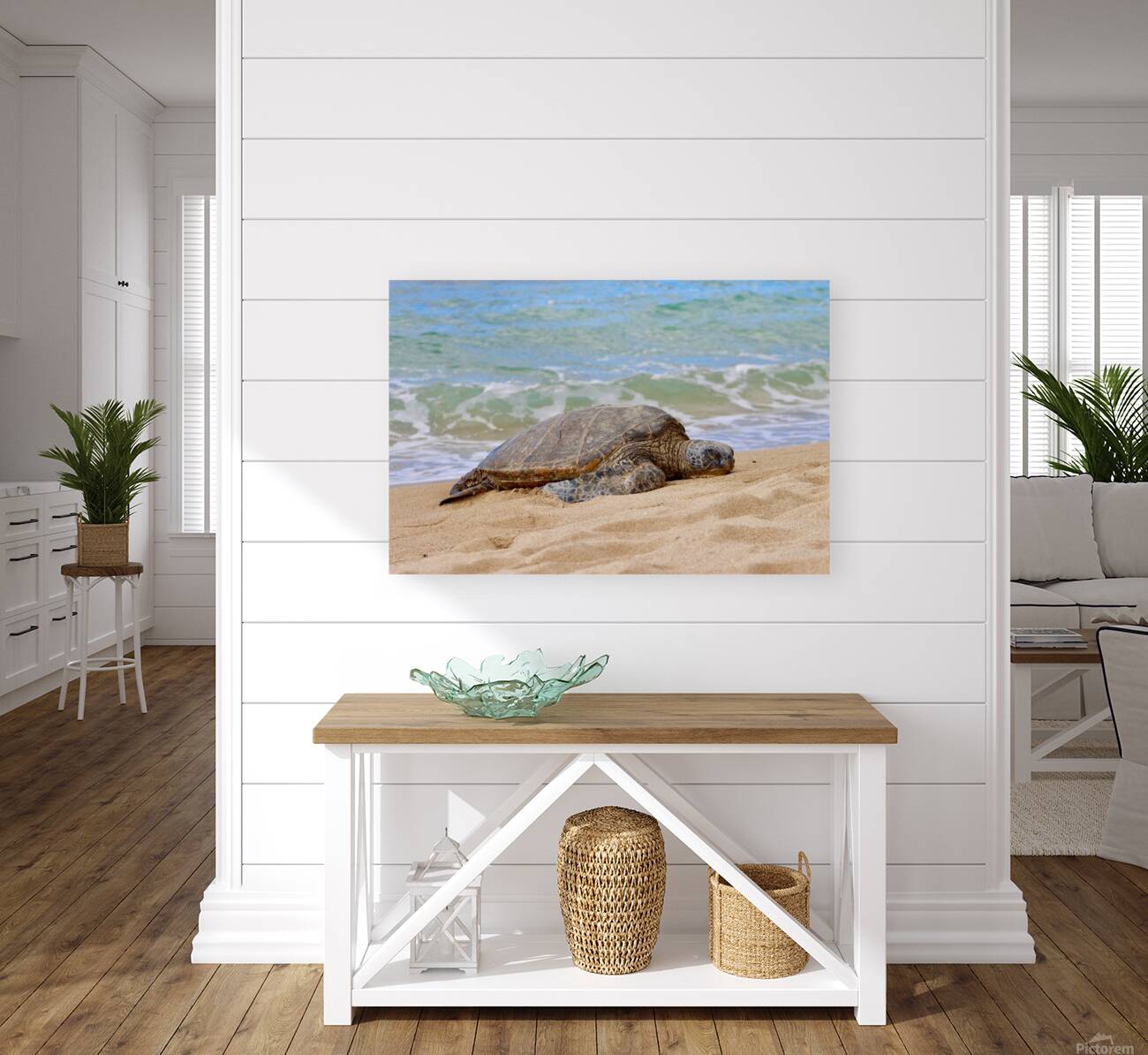 Maui Sea Turtle 1 Reproduction