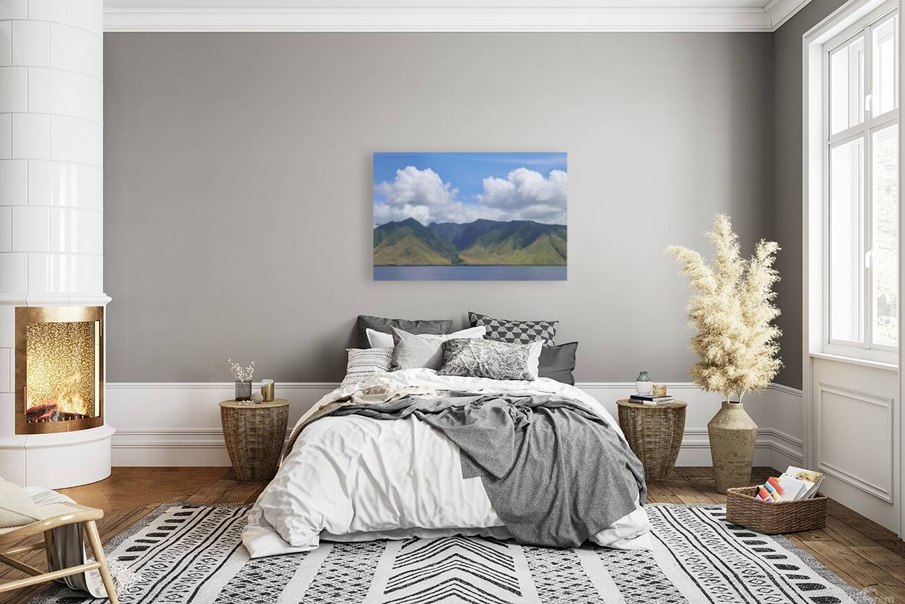 Maui Coast Reproduction