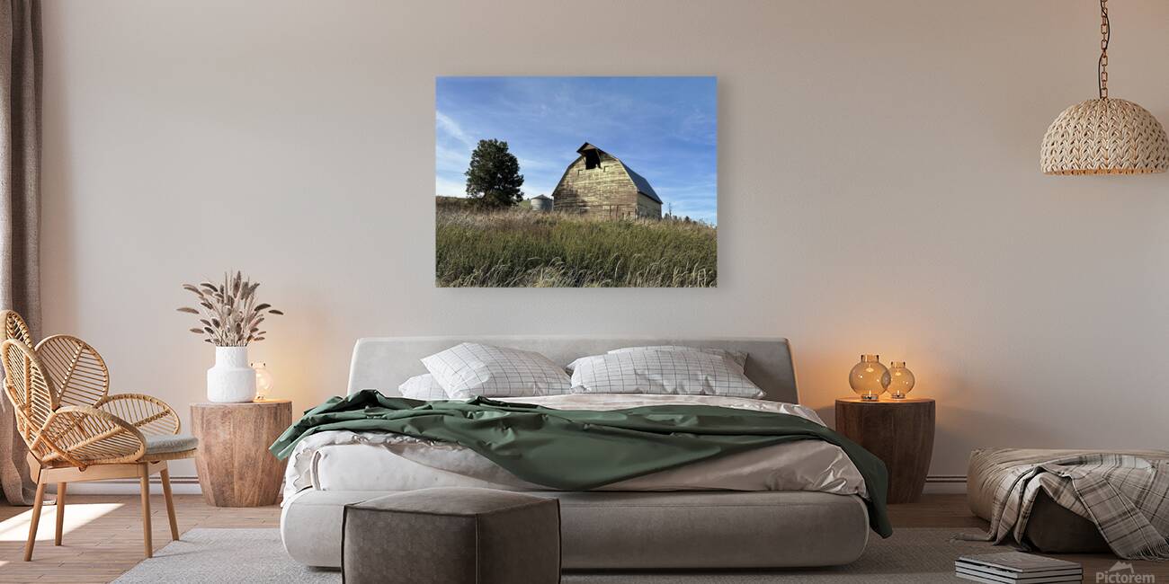 Colfax Barn 4 Reproduction