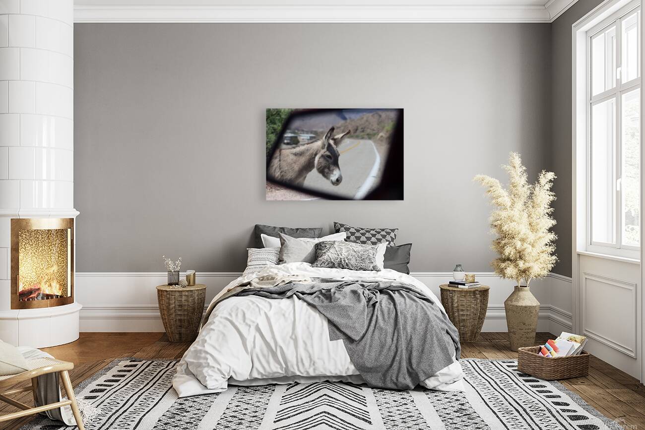 Donkeys in your mirror are closer than they appear Reproduction