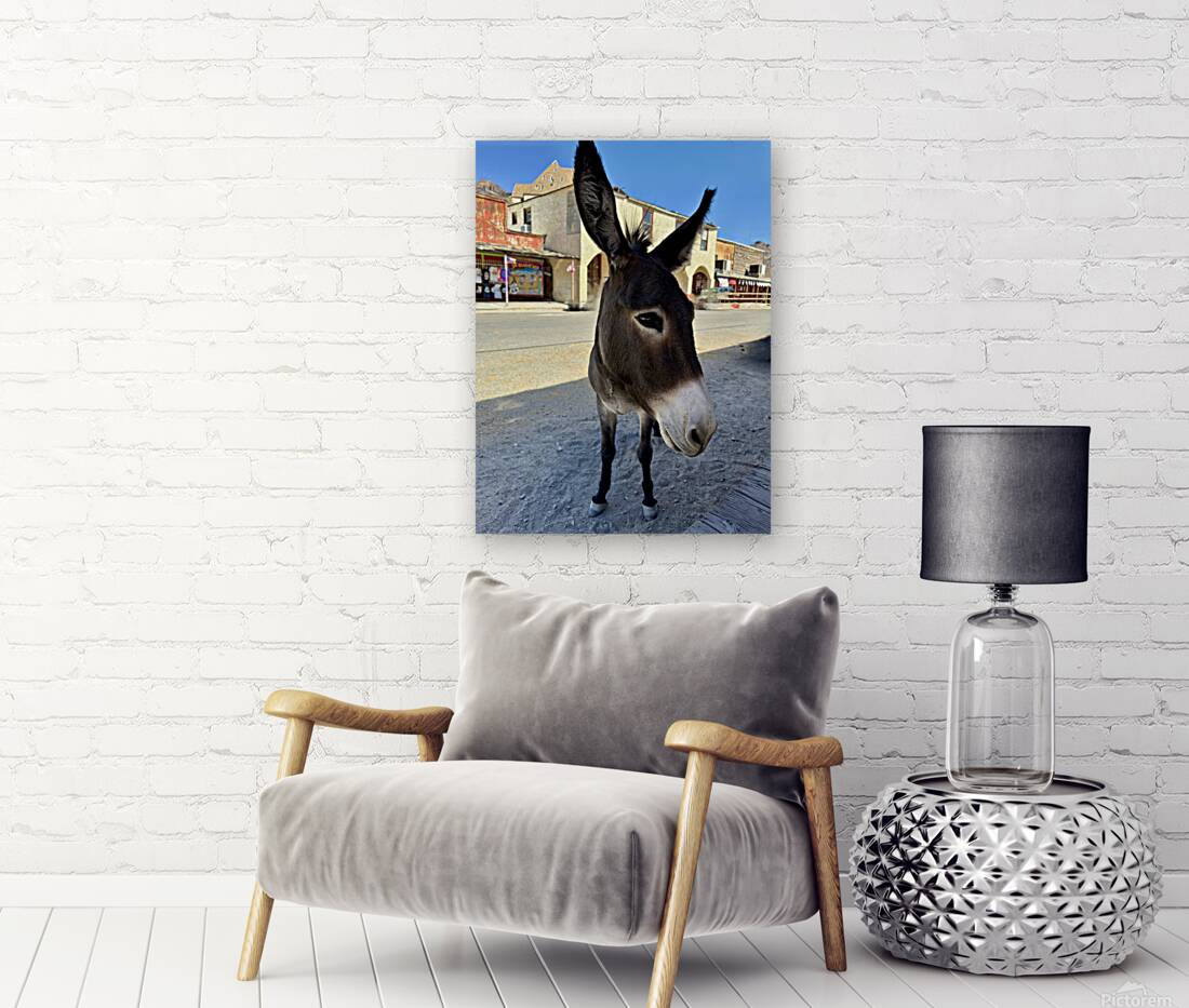 Oatman resident Reproduction