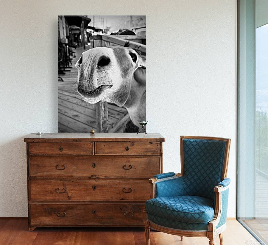 Give us a Kiss - black & white Reproduction