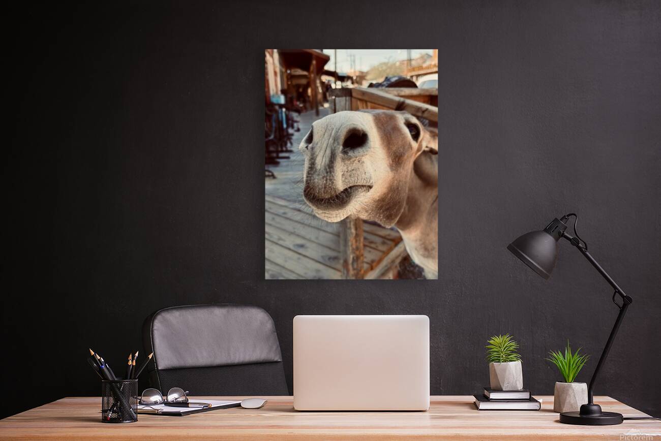 Give us a Kiss Reproduction