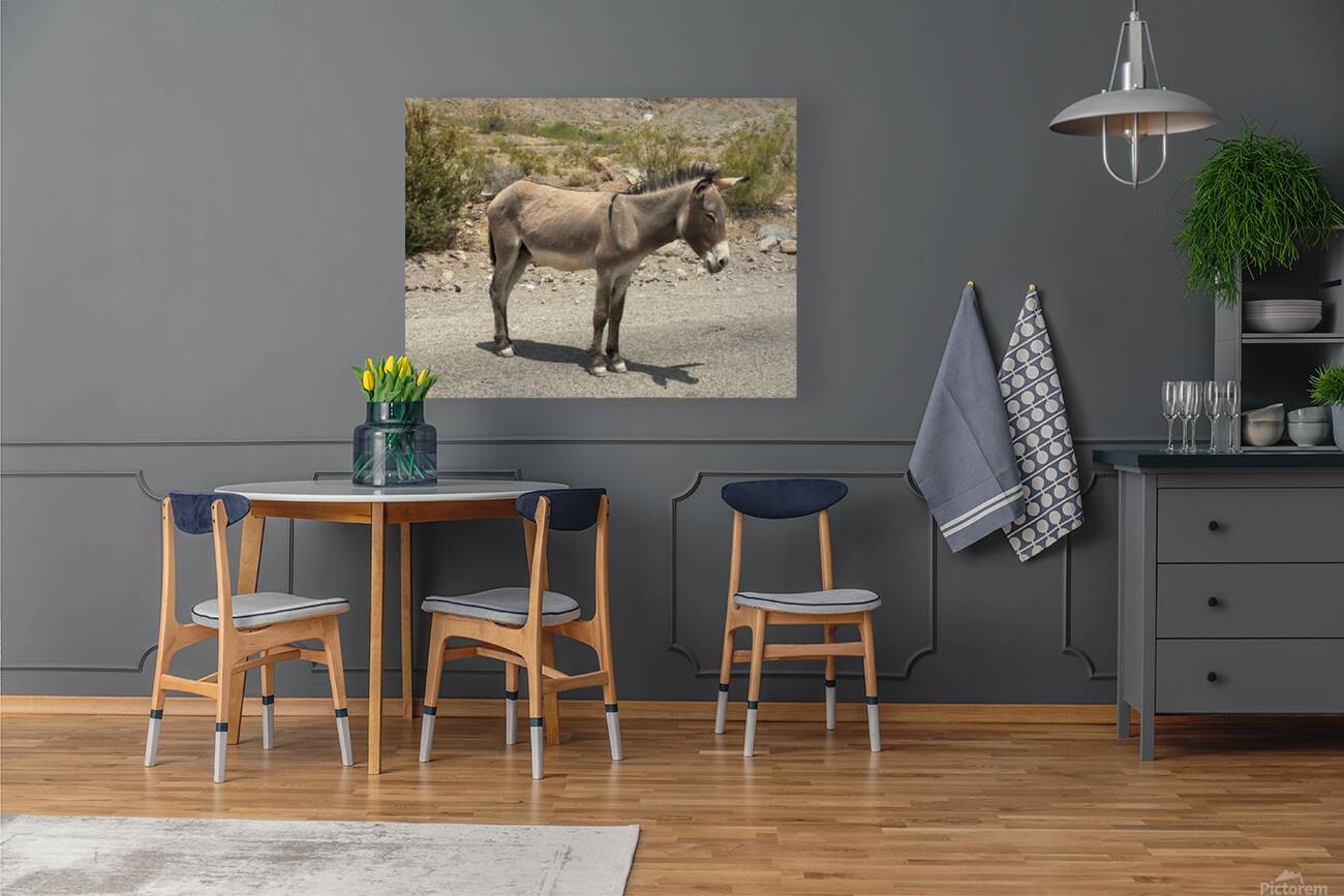 Heading to Oatman Reproduction