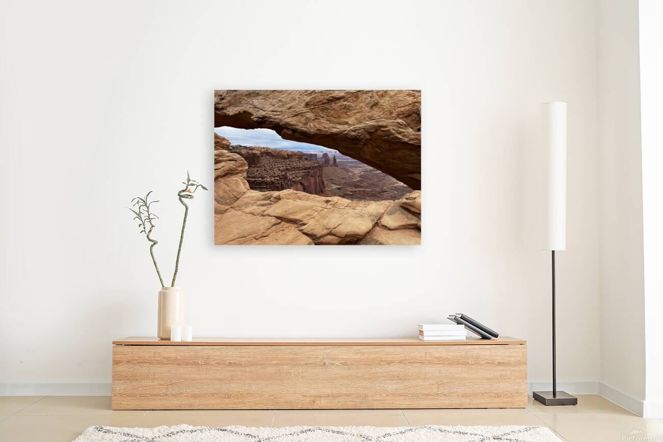 The land before time Reproduction