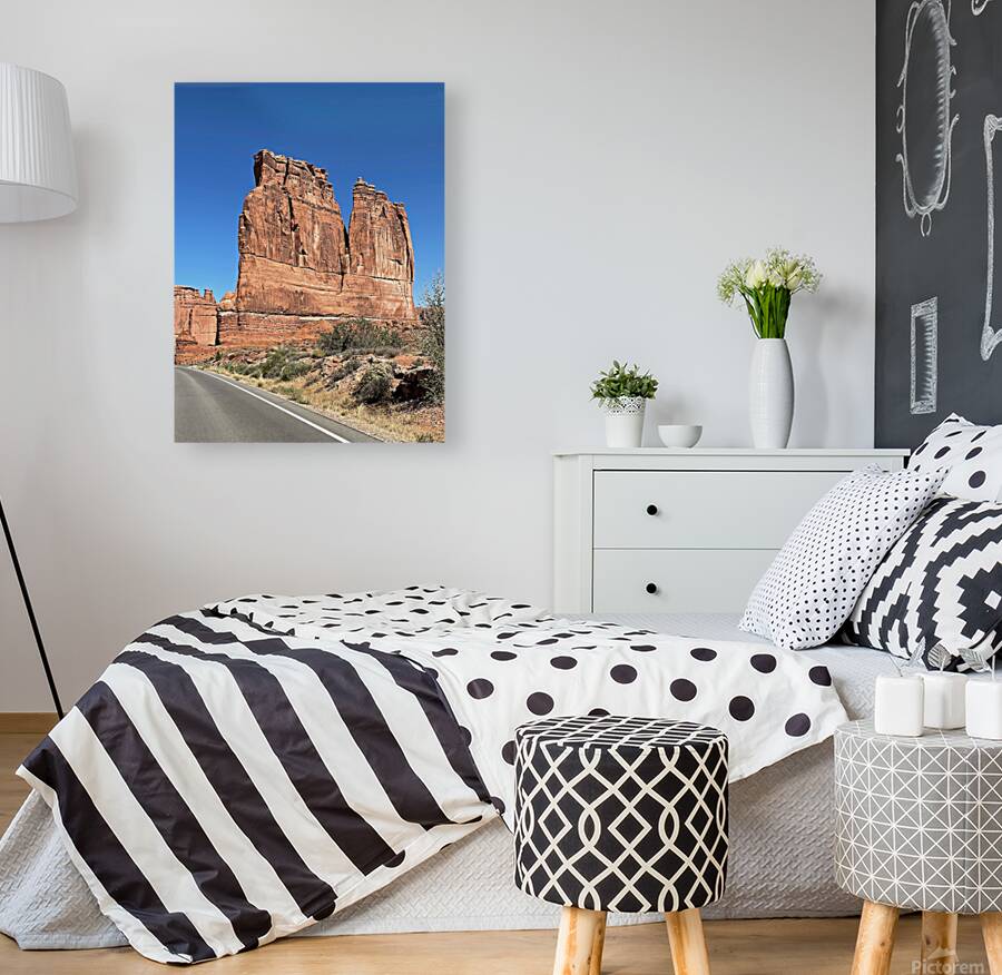 The Organ Reproduction