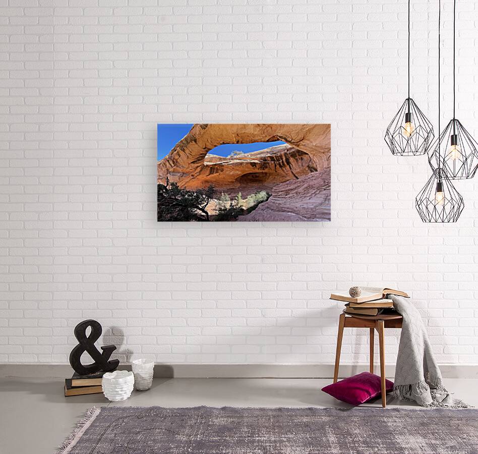 Gemini Twins Reproduction