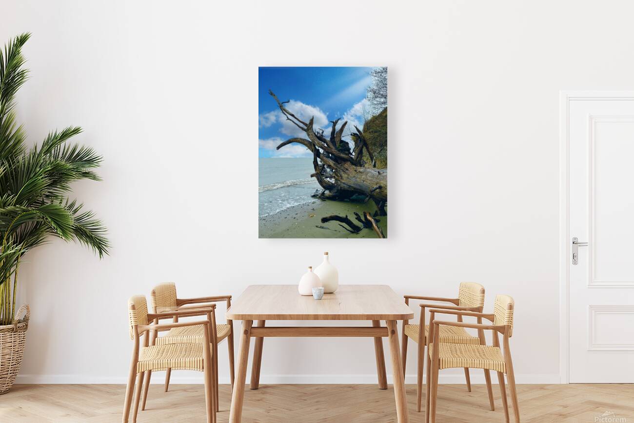 IMG 1646 Reproduction