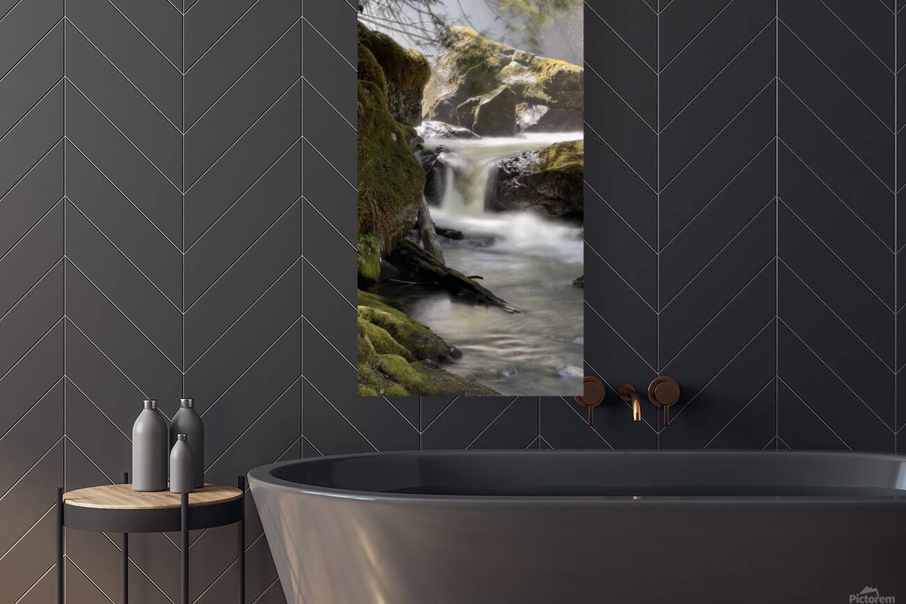 Forest Flow Reproduction