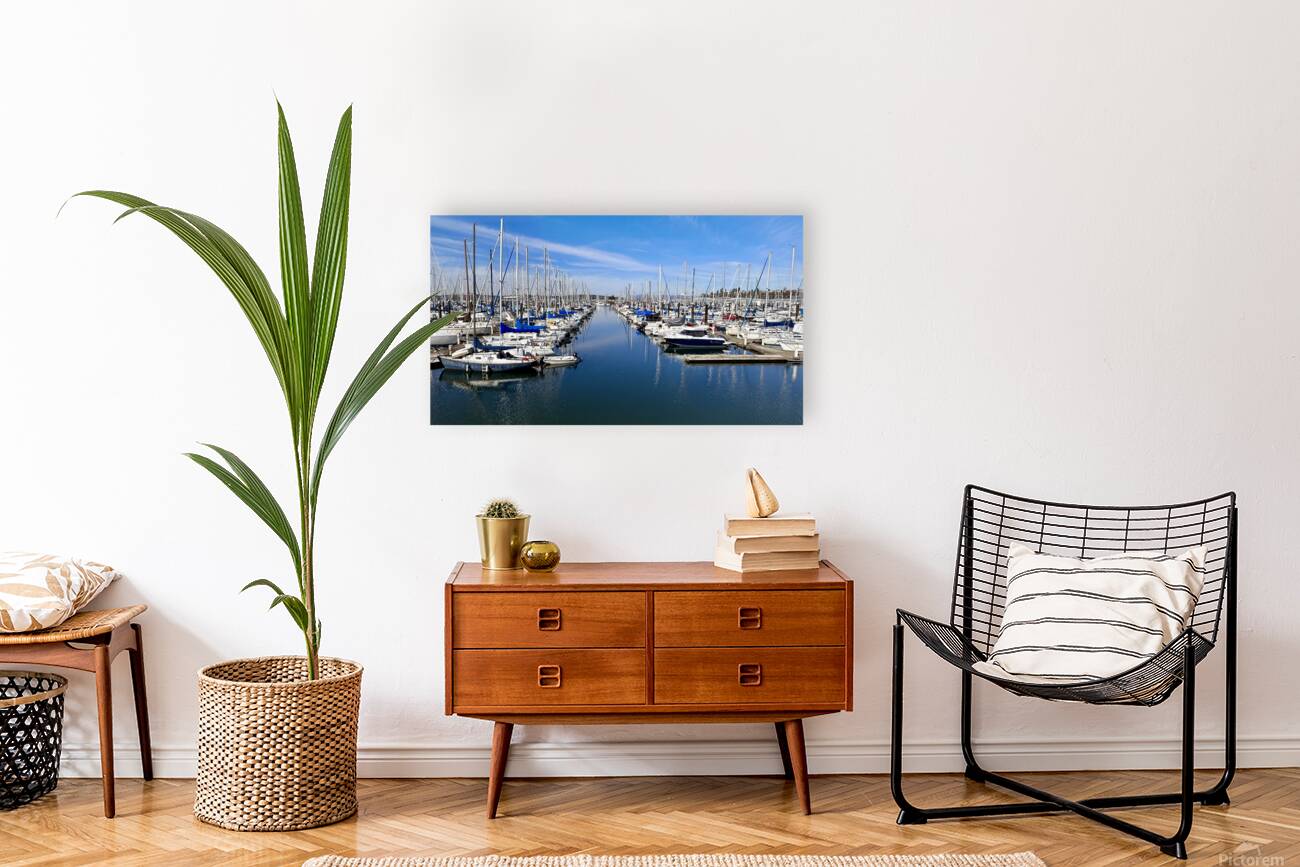 Everett Marina Reproduction